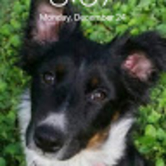 lovelokilove